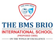 The BMS BRIO